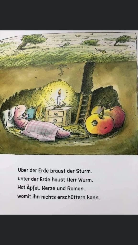 bild aus erwin moser buch wurm liegt im kuscheligen bett in einer höhle mit buch, text darunter: über der erde braust der sturm, unter der erde haust herr wurm, hat äpfel, kerze und roman, womit ihn nichts erschüttern kann