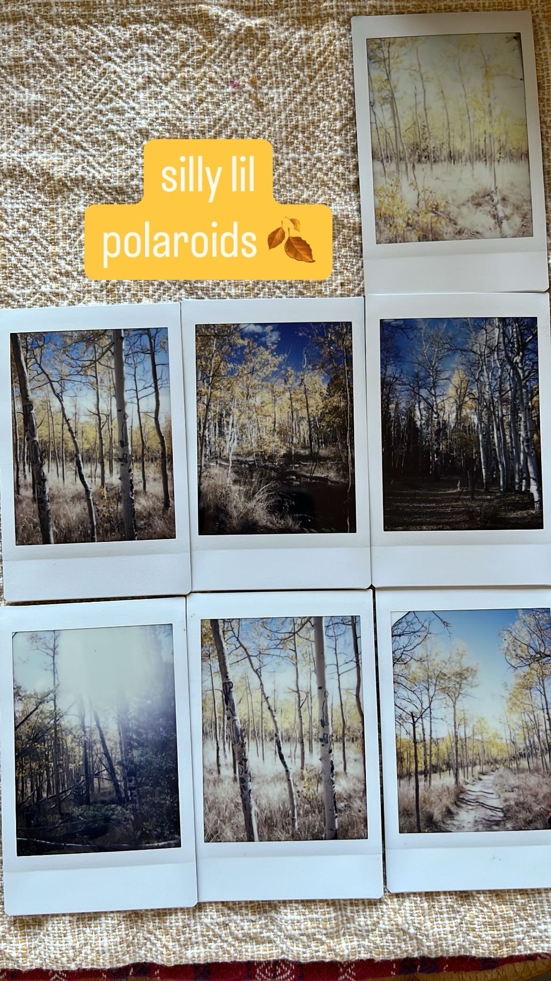 7 polaroids of yellowing trees on a straw colored placemat. there's a caption reading "silly lil polaroids🍂" on a yellow background