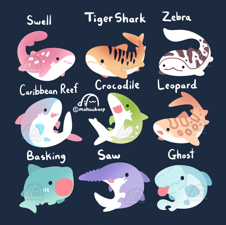 Illustration of a variety of sharks. Sharks featured are swell, tiger, zebra, carribean, crocodile, leopard, basking, saw ghost