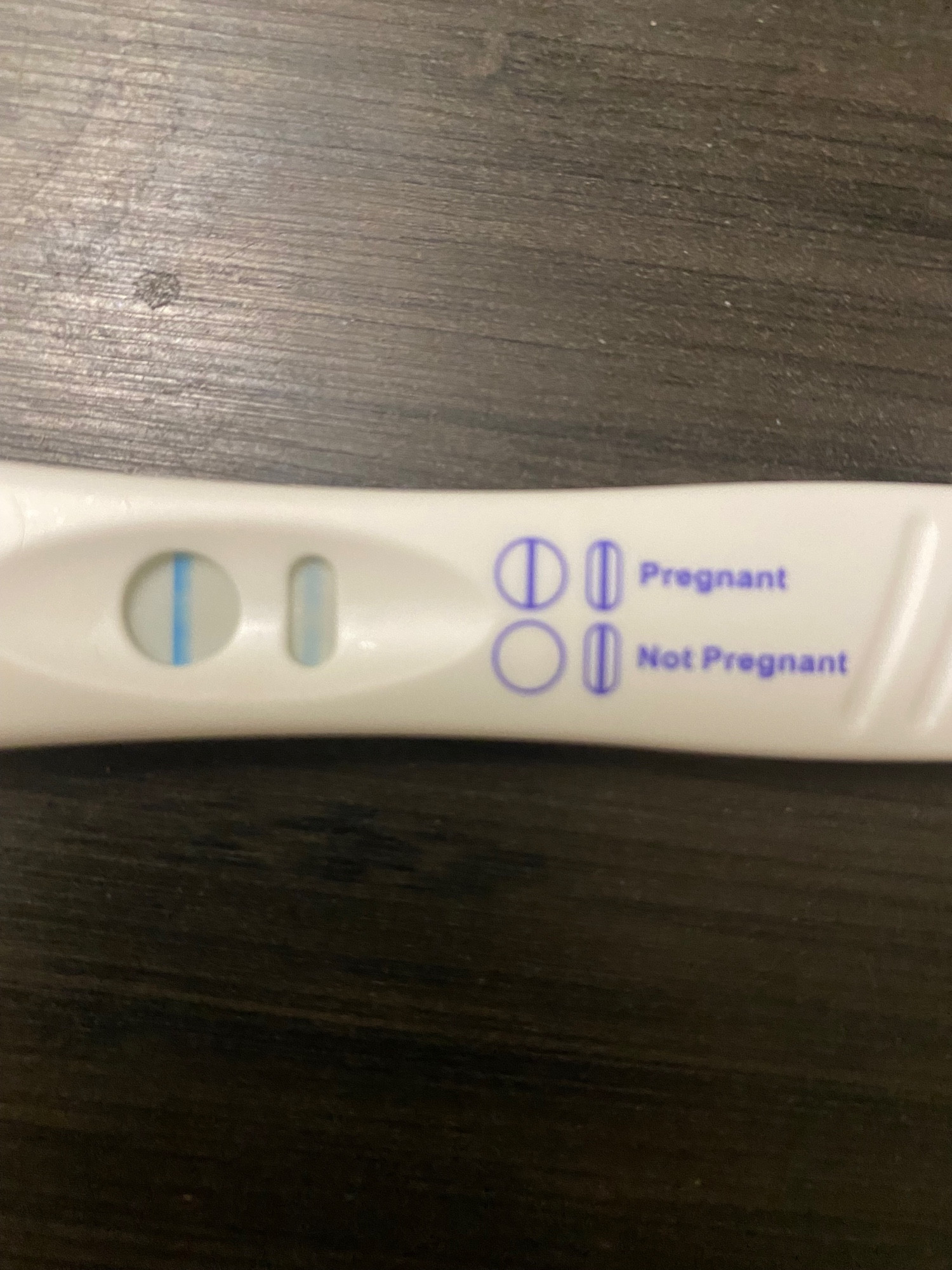 the fucking stupid fucking positive pregnancy test i just took