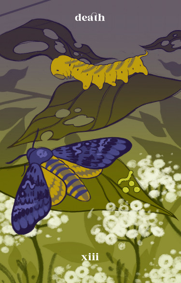 A tarot card depicting a death's head moth and caterpillar. 