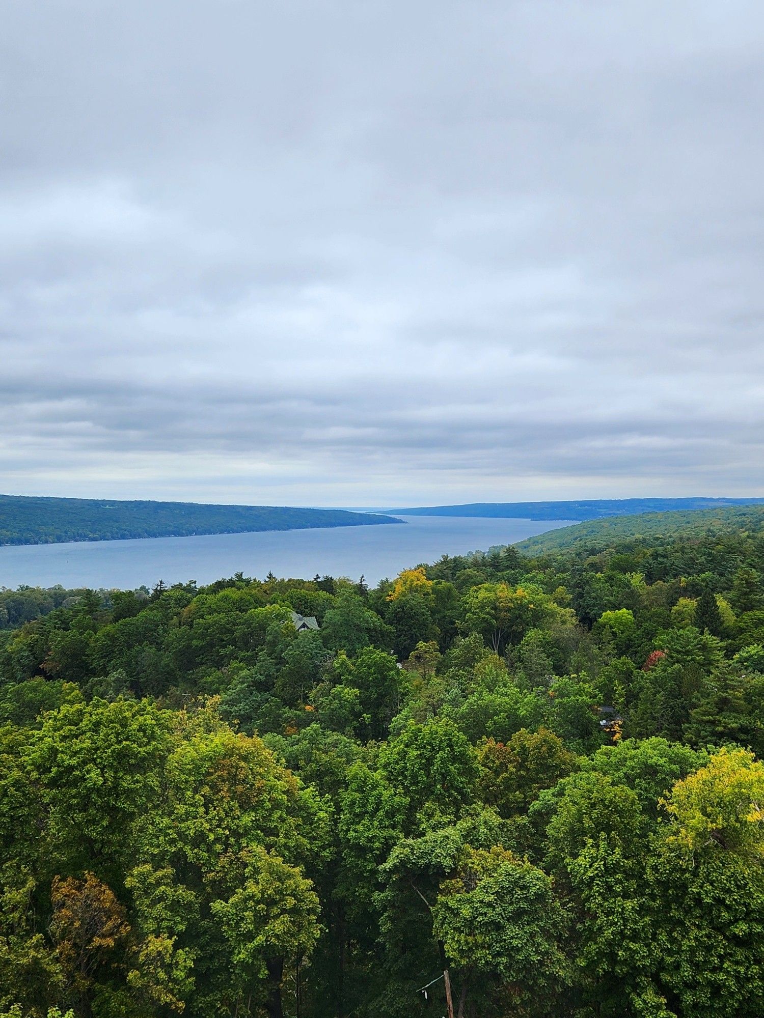 Trees in the bottom half of the photo, Cayuga lake in the middle, cloudy skies in the top half.