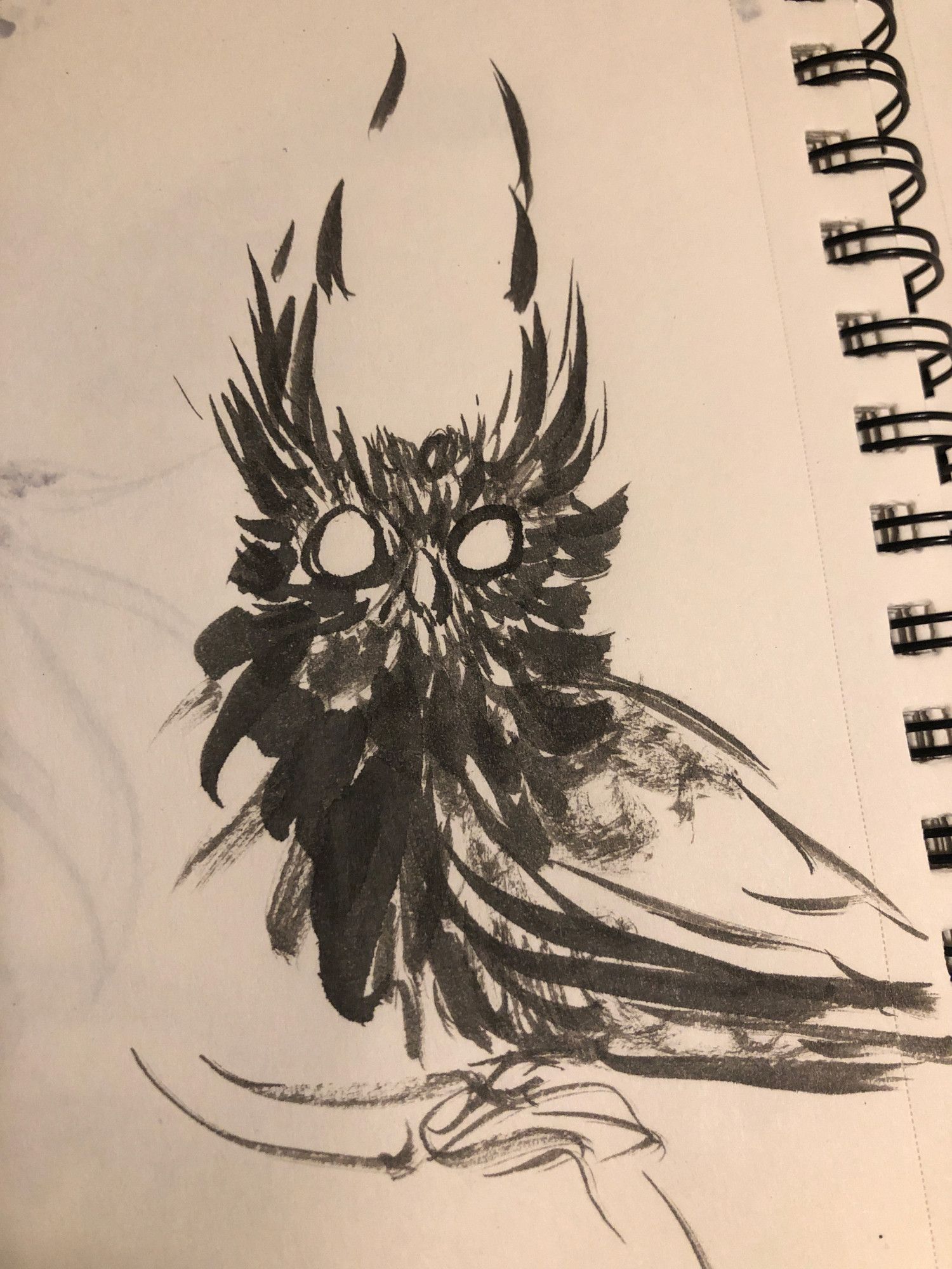 ink brush sketch of an owl, big eyes, and feathers on head standing up