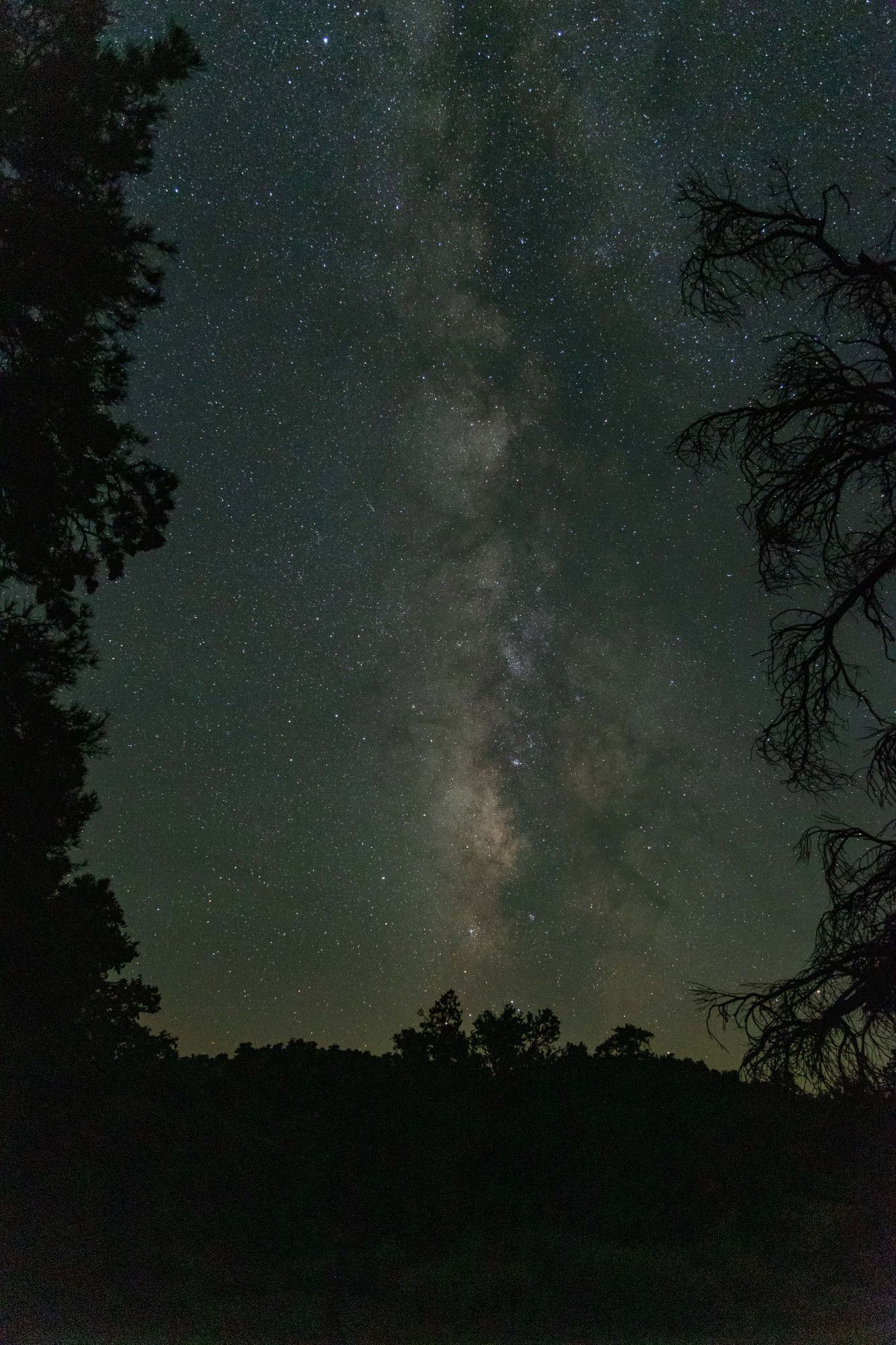 A night photo of the Milky Way galaxy, taken in central Nevada.