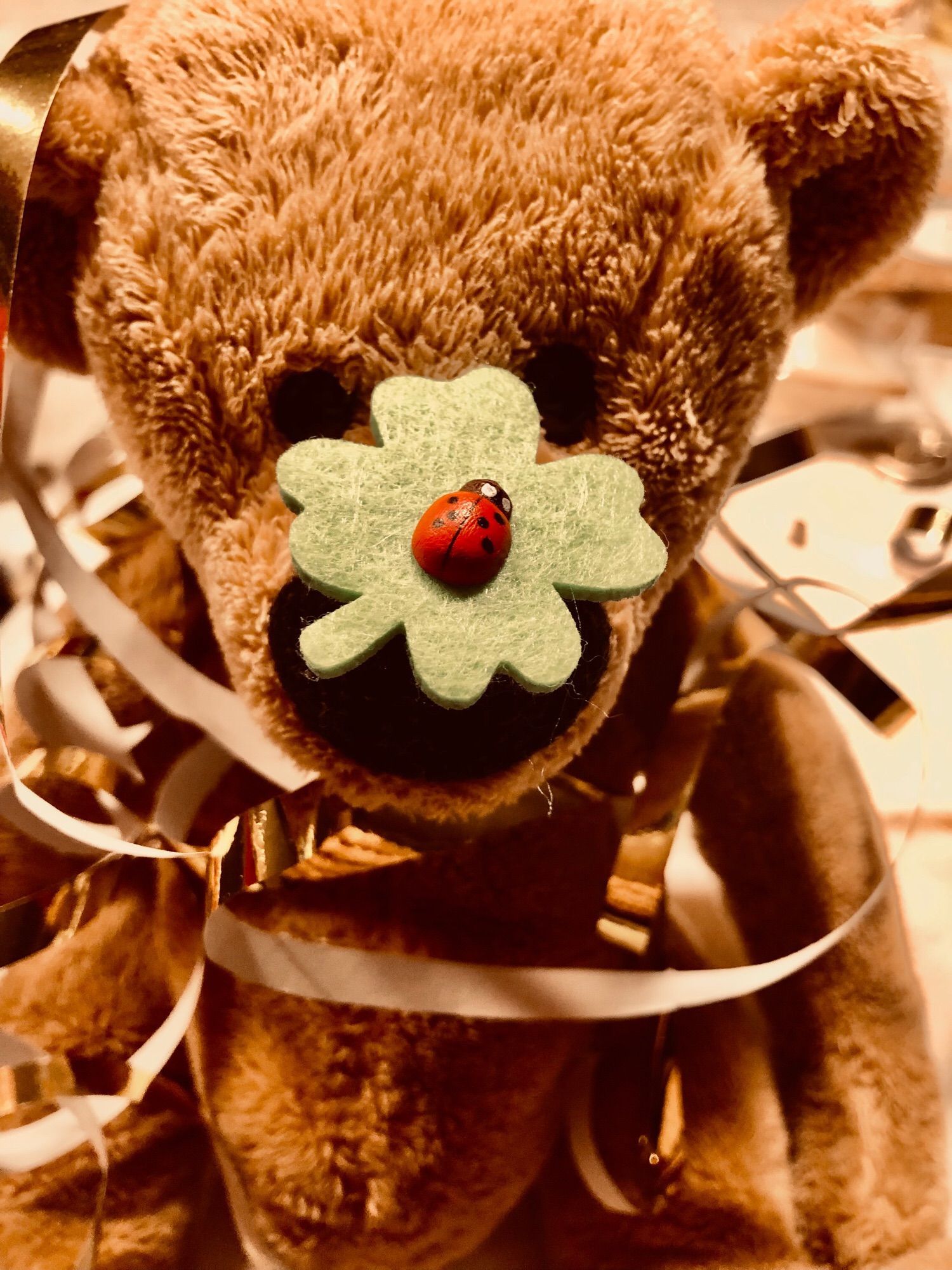 Teddy mit Girlande umwickelt und einem grünen Filzkleeblatt auf dem ein Marienkäfer klebt.