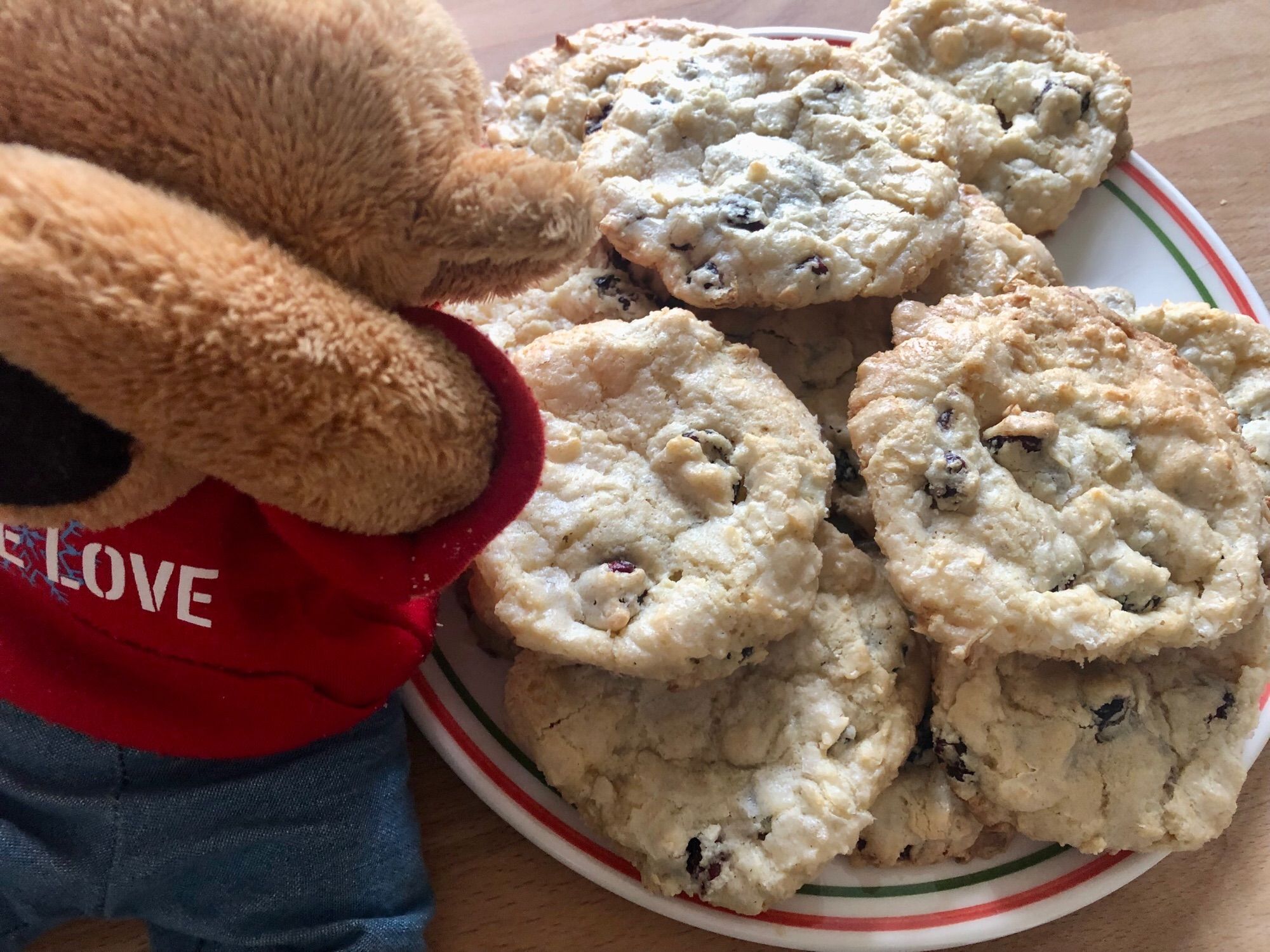 Teddy hält sich eine Pfote vor seine Augen, um den großen Teller voller Cookies nicht ansehen zu müssen.