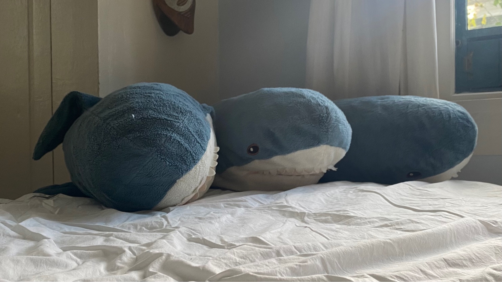 three blahaj shark plushies