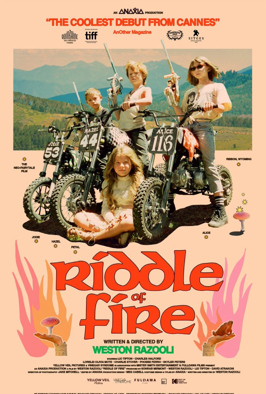 Póster de la película Riddle of fire.