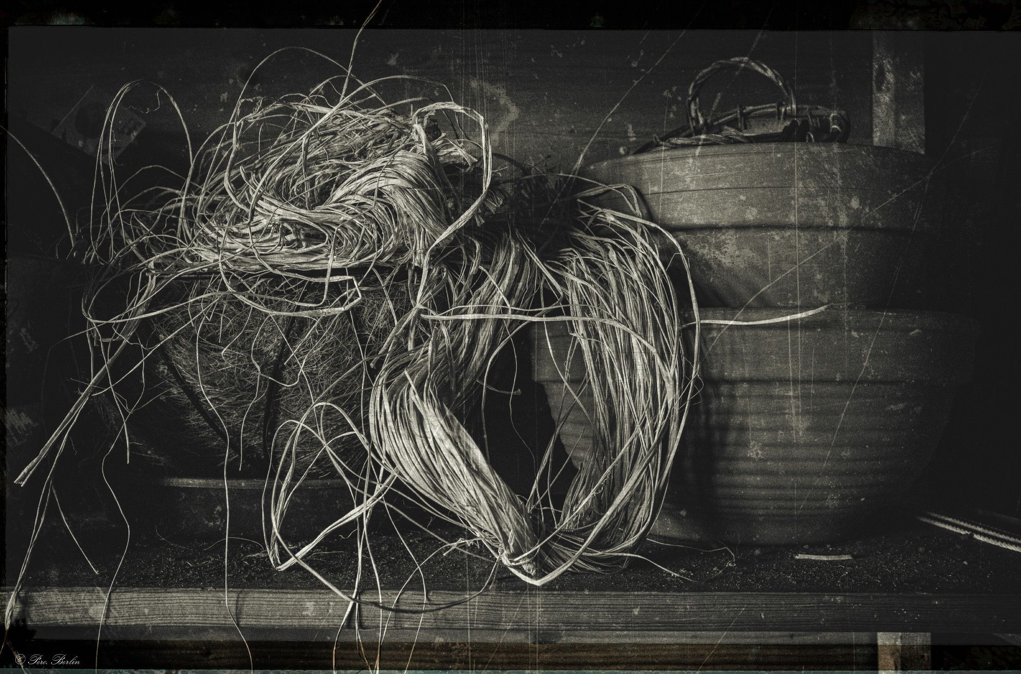 Monochrome photograph of a metal basket full of raffia, placed next to two earthenware plant bowls on a wooden shelf. Photo with scratches, taken and developed in the old style.