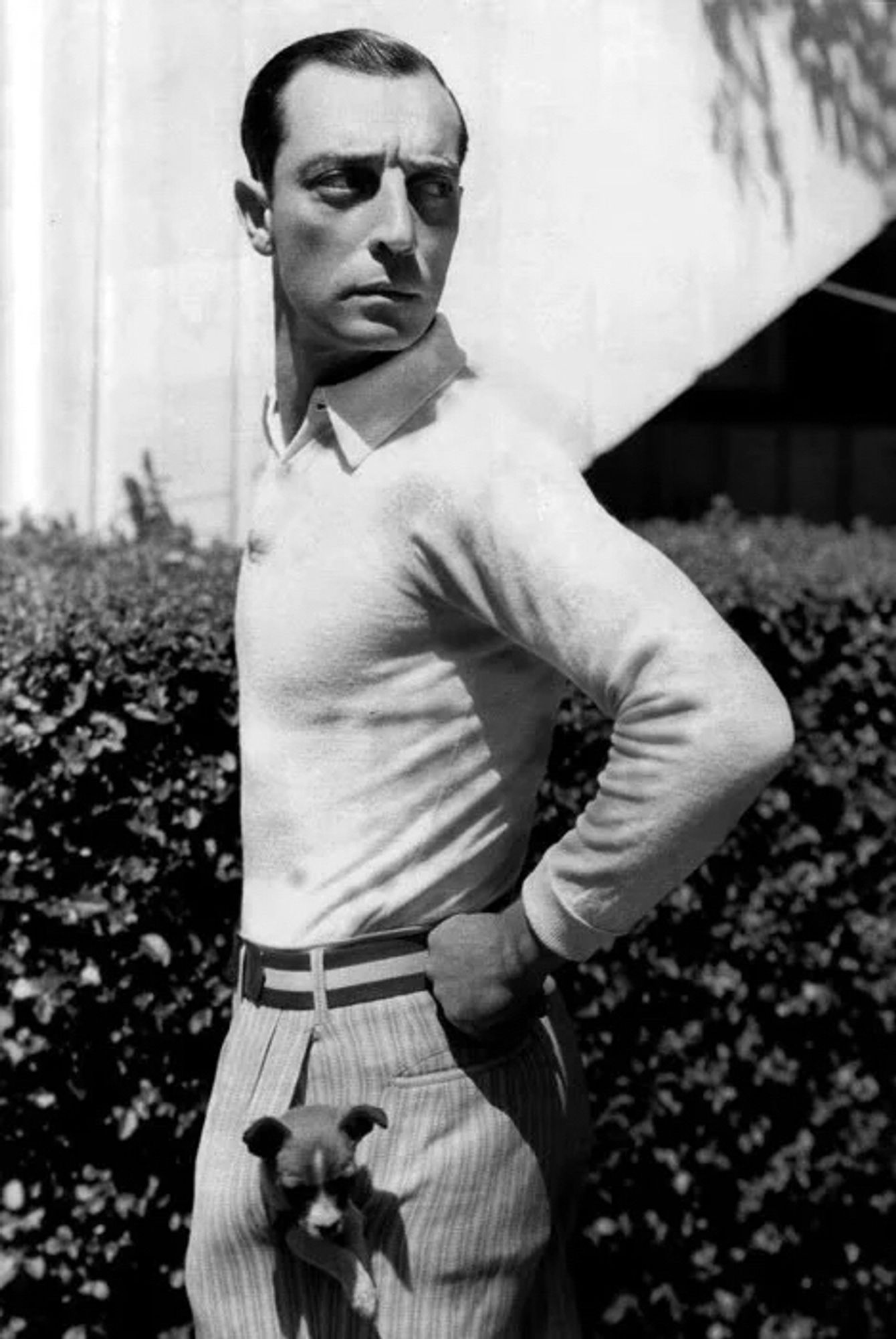 Buster Keaton with a dog’s head poking out of the fly in his trousers.