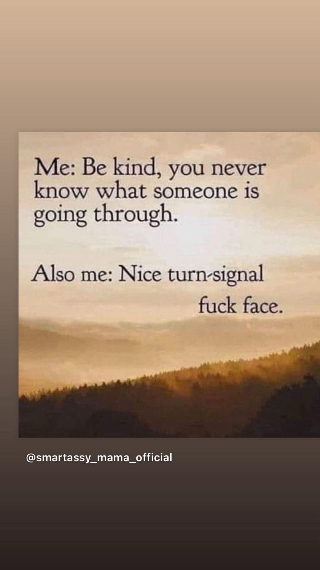 Meme
Me: Be kind, you never know what someone is going through.

Also me: Nick turn-signal fuck face.