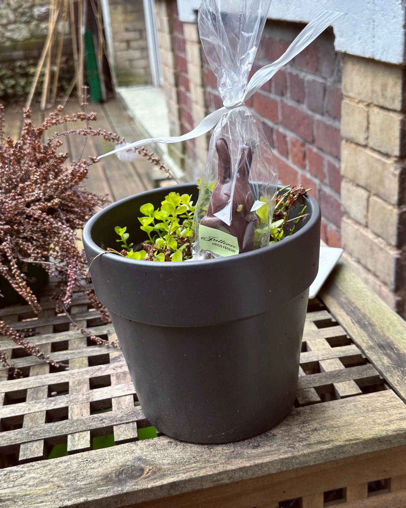 Lapin en chocolat dans un pot de fleurs