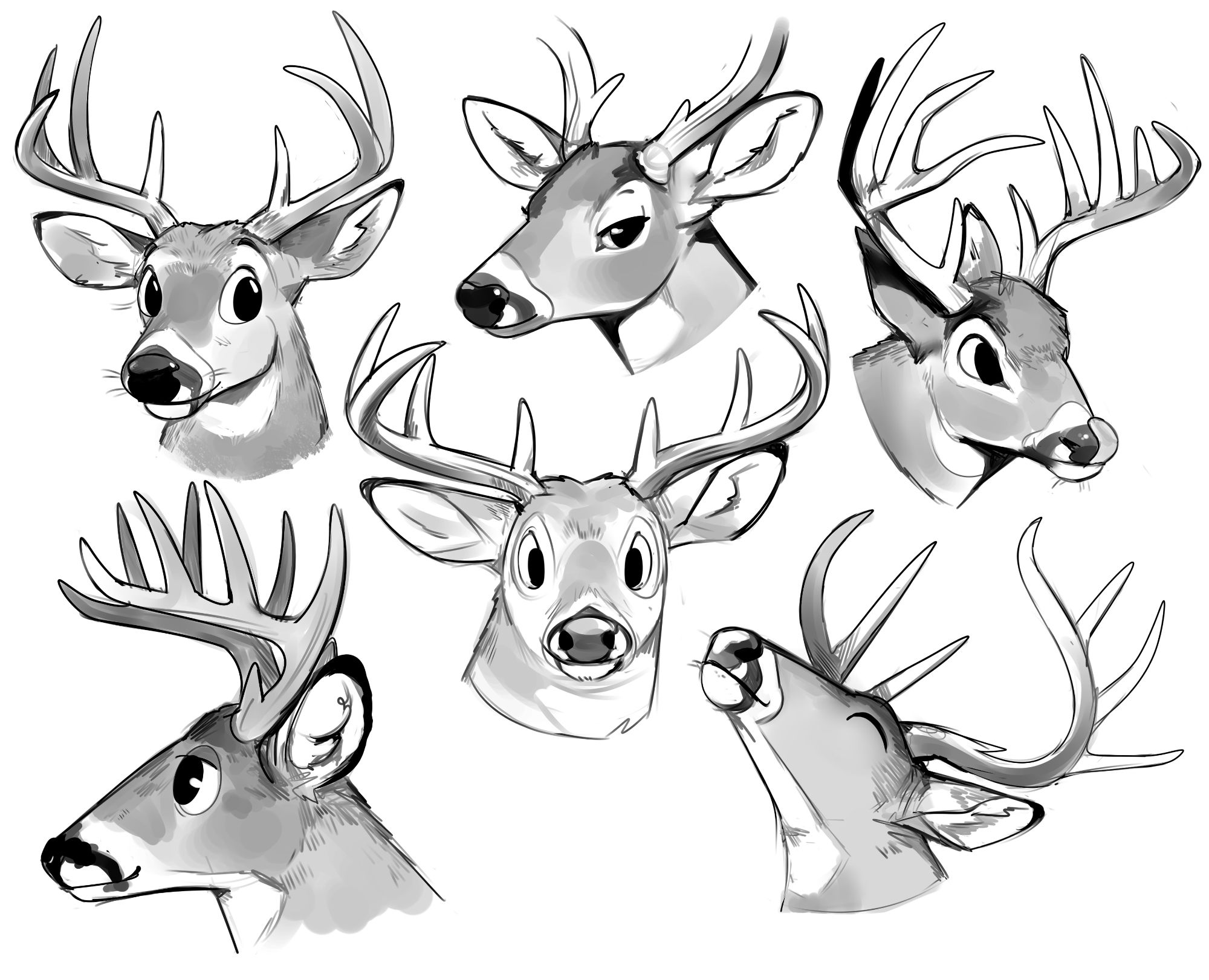 Assorted black and white digital sketches of white-tailed deer heads, drawn in a somewhat cartoony style.