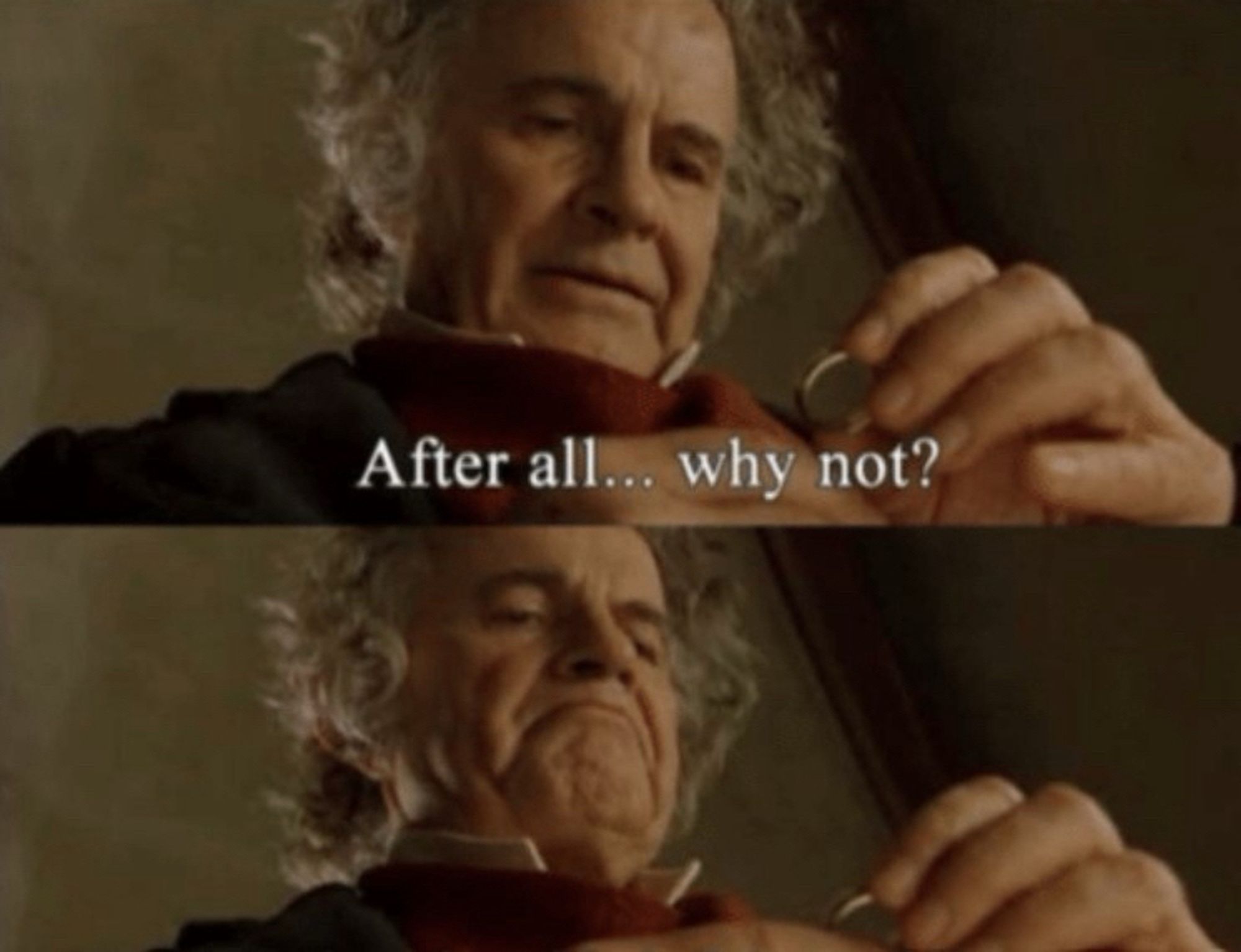 Bilbo in Fellowship Of The Ring