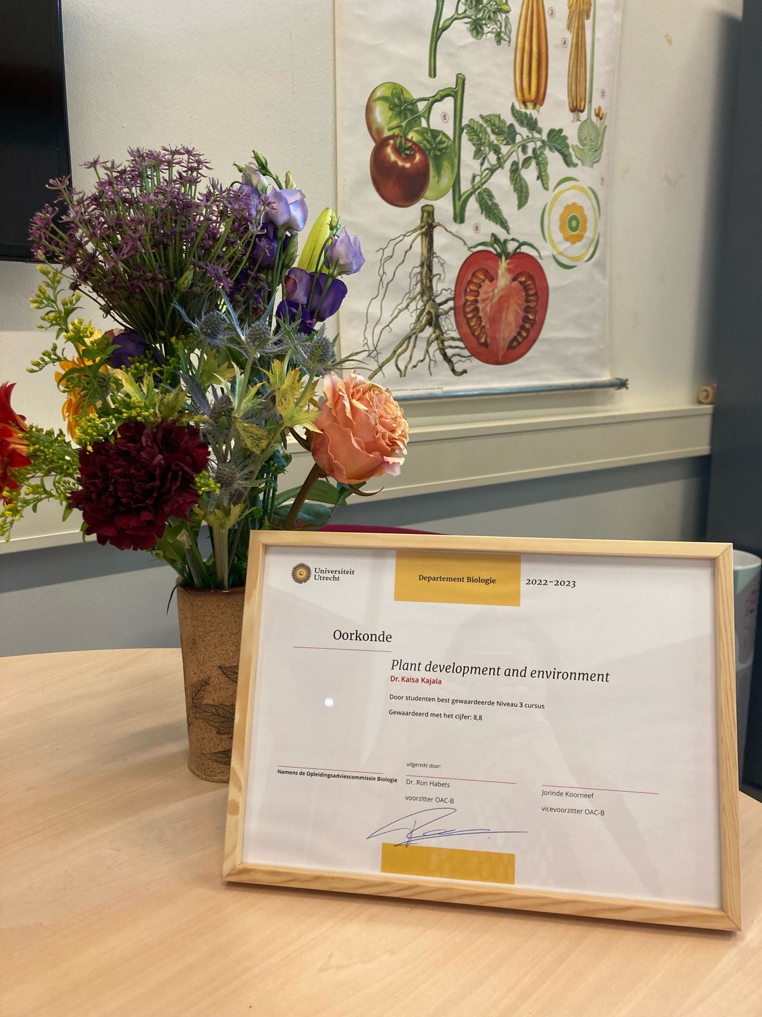 Bouquet of flowers and a framed certificate for the best student evaluations