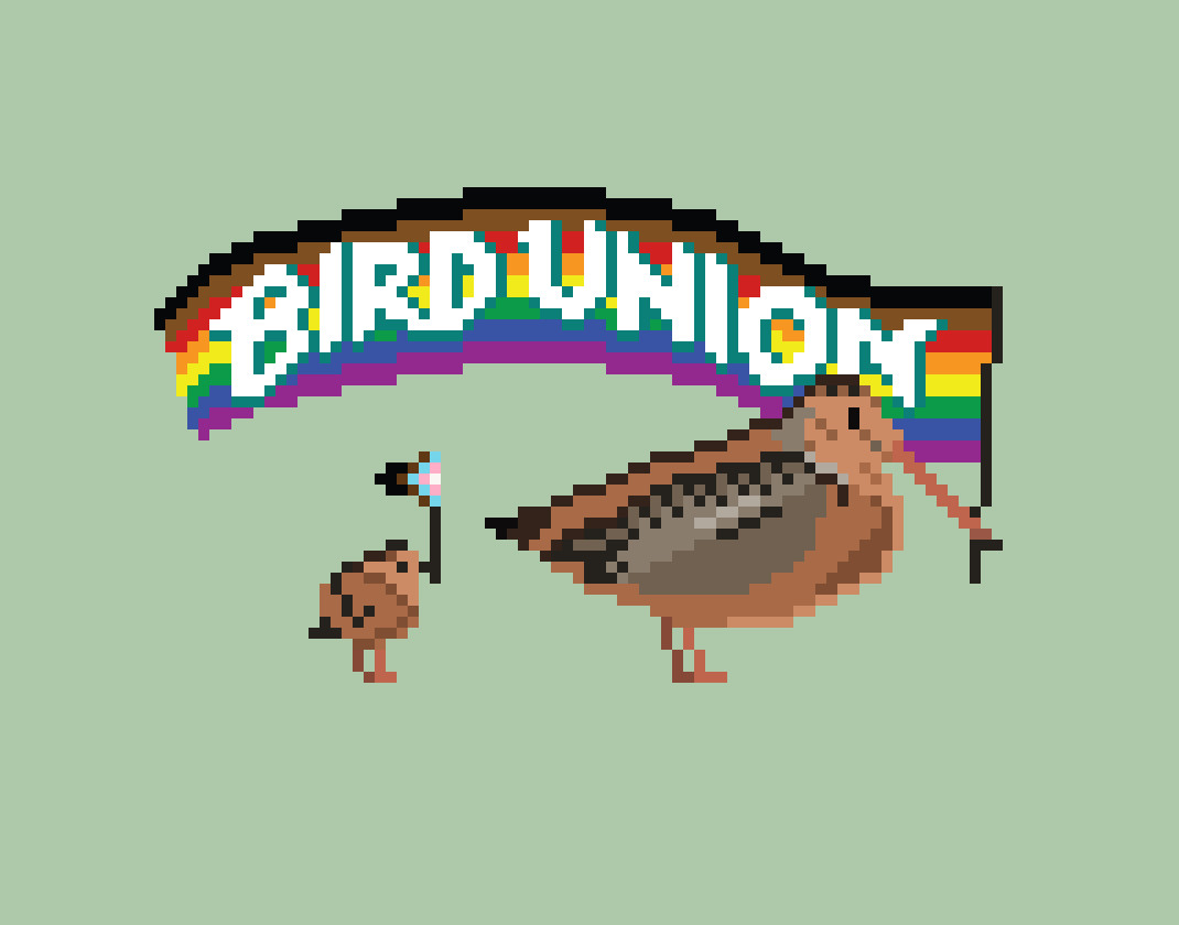 Animated gif of two American woodcocks dancing in place. They are brown, football-shaped birds with a long thin bill. The larger one is holding a pride flag with big white letters reading “BIRD UNION.” The smaller bird is holding a tiny trans pride flag. Credit: Alex Tomlinson.