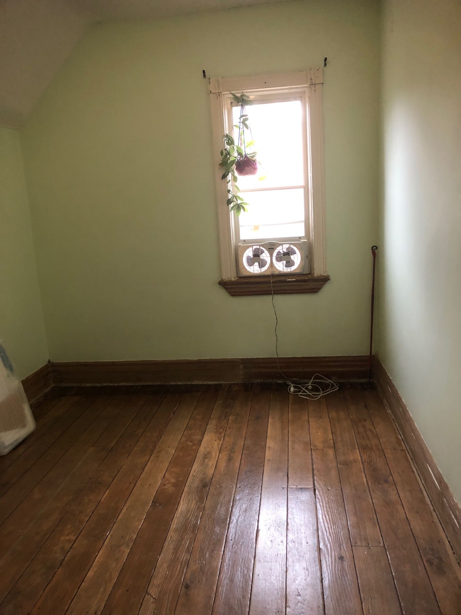 Photograph of an empty room with wood floors. Sun streams through the window, which frames a fan and a hanging plant.