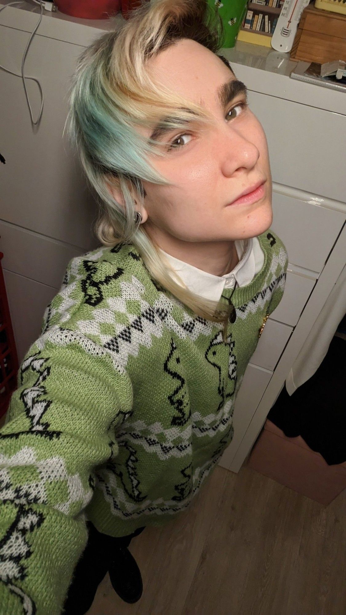 Selfie en plongée dans mon appart. Je regarde l'objectif. Je porte une chemise blanche qui dépasse au col et en bas de mon pull vert tendre à motifs dinosaures. Je porte également un pantalon de costume noir retroussé, des chaussettes vert tendre et des creepers noires.