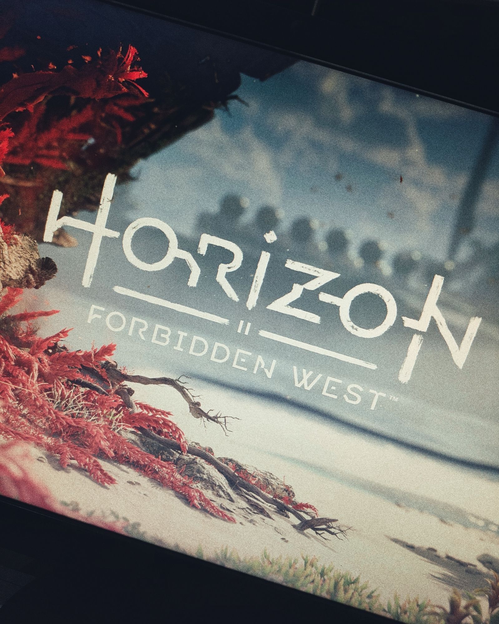 Picture from the main menu of the game Horizon Zero Dawn Forbidden West.