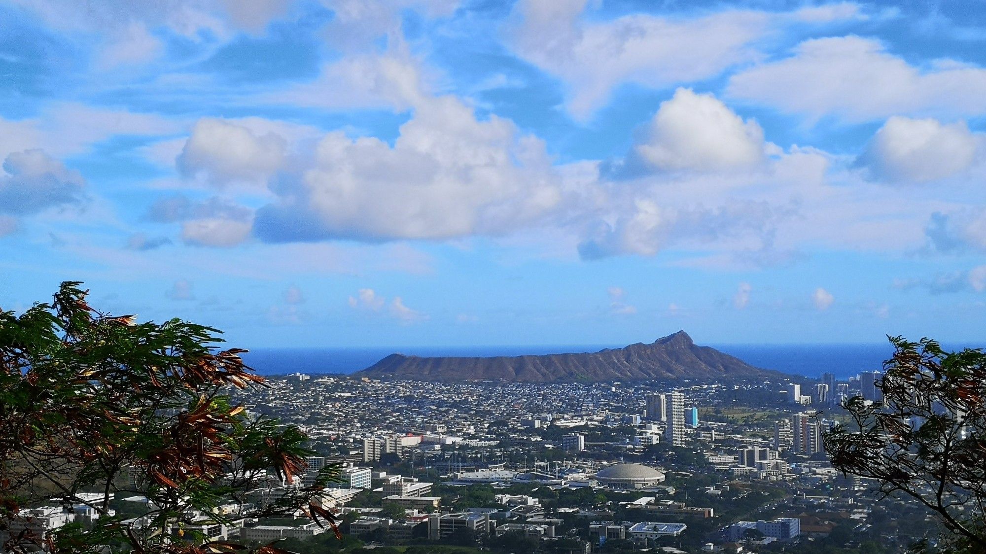 Photo overlooking the Manoa valley and University of Hawaii at Manoa campus towards downtown Honolulu and Diamond Head