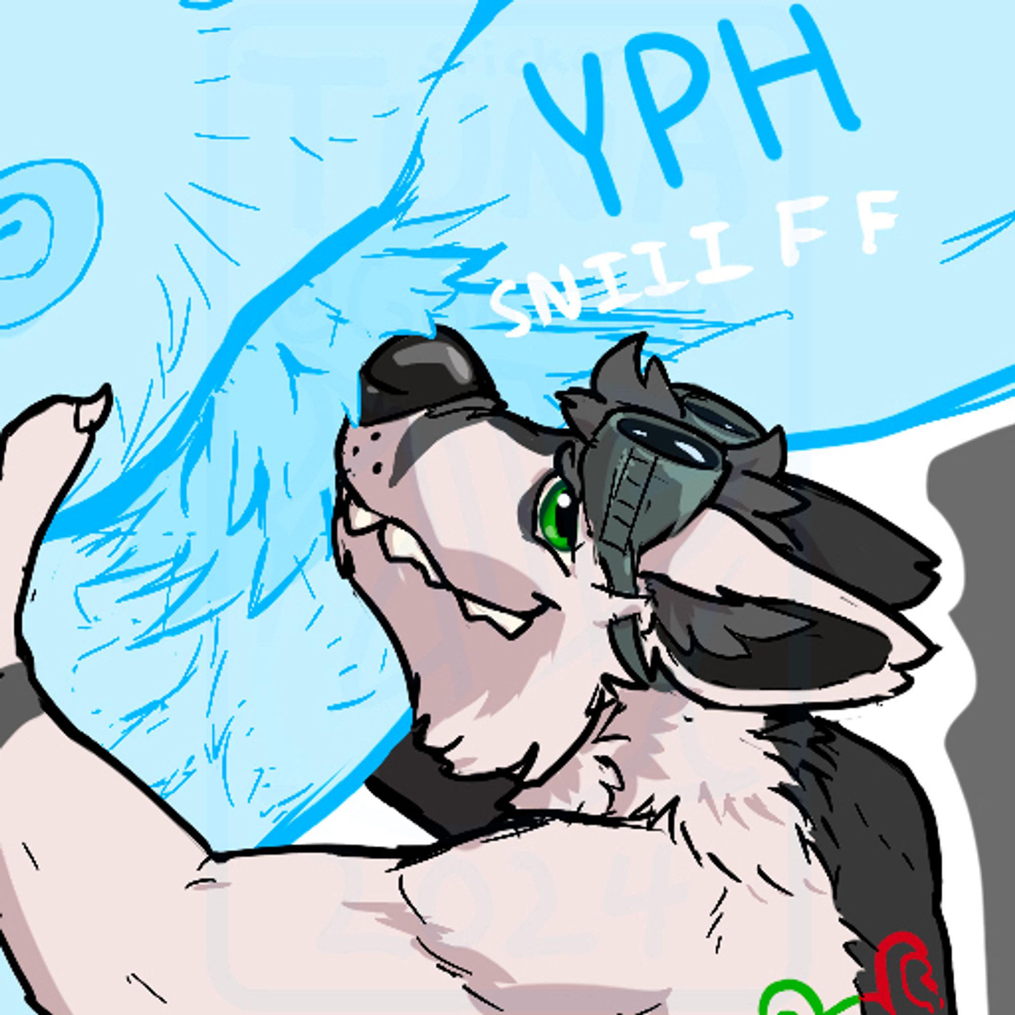 Gray and white fox shoving his snout into YCH pits