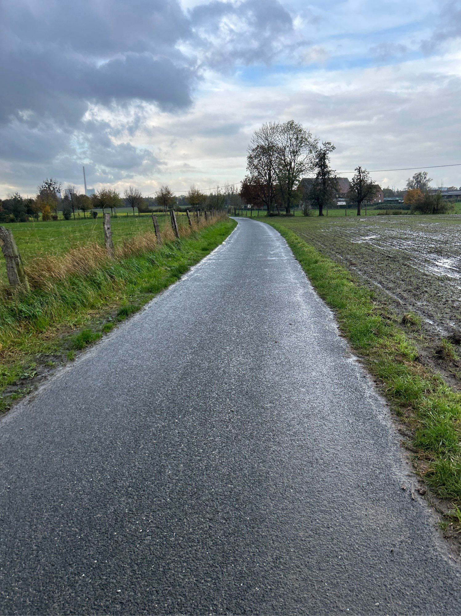 Feldweg im Regen