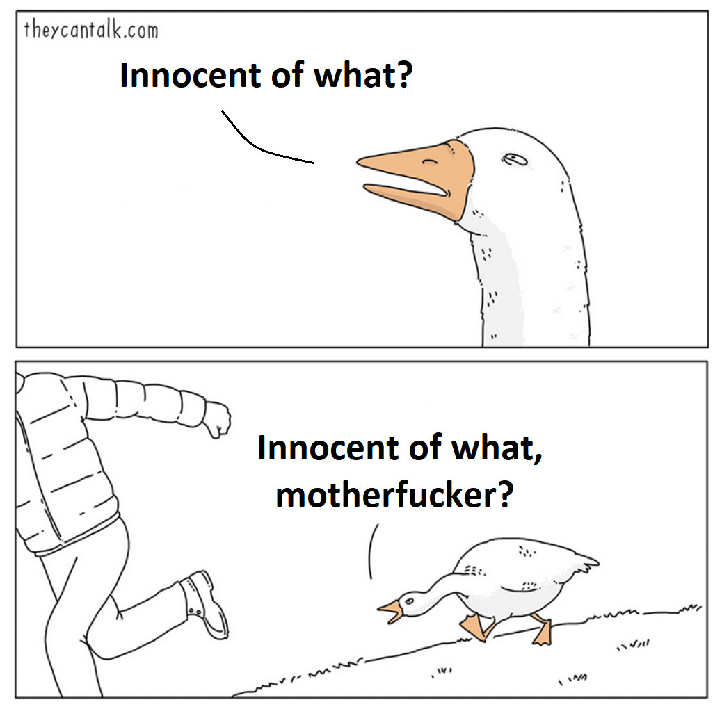 Angry hissing goose Meme, asking "Innocent of what, motherfucker?"