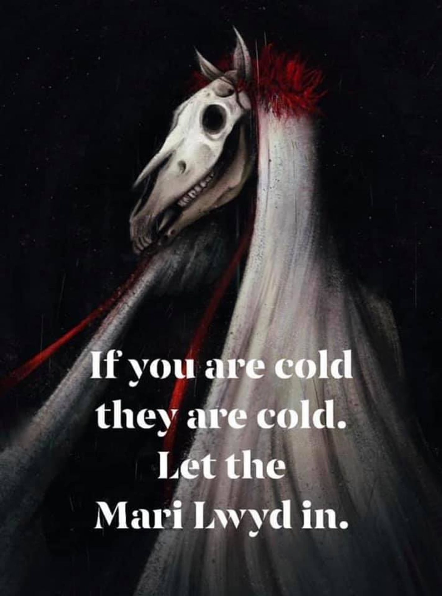 A picture of the Mari Lwyd with the caption reading: "If you are cold, they are cold. Let the MarI Lwyd in."