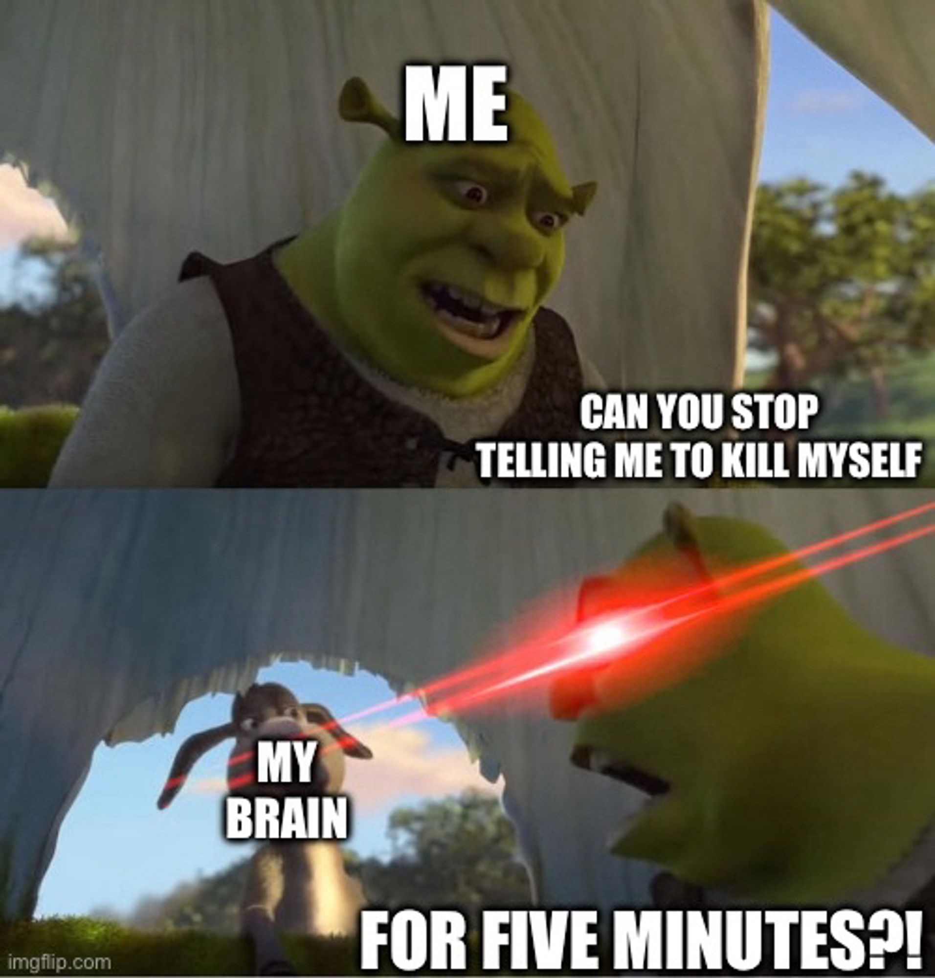 Panel 1: Shrek, dejected, tired, labelled me: “can you stop telling me to kill myself…”
Panel 2: Shrek, with laser eyes, turning to Donkey, who is labelled my brain: “FOR FIVE MINUTES?!”