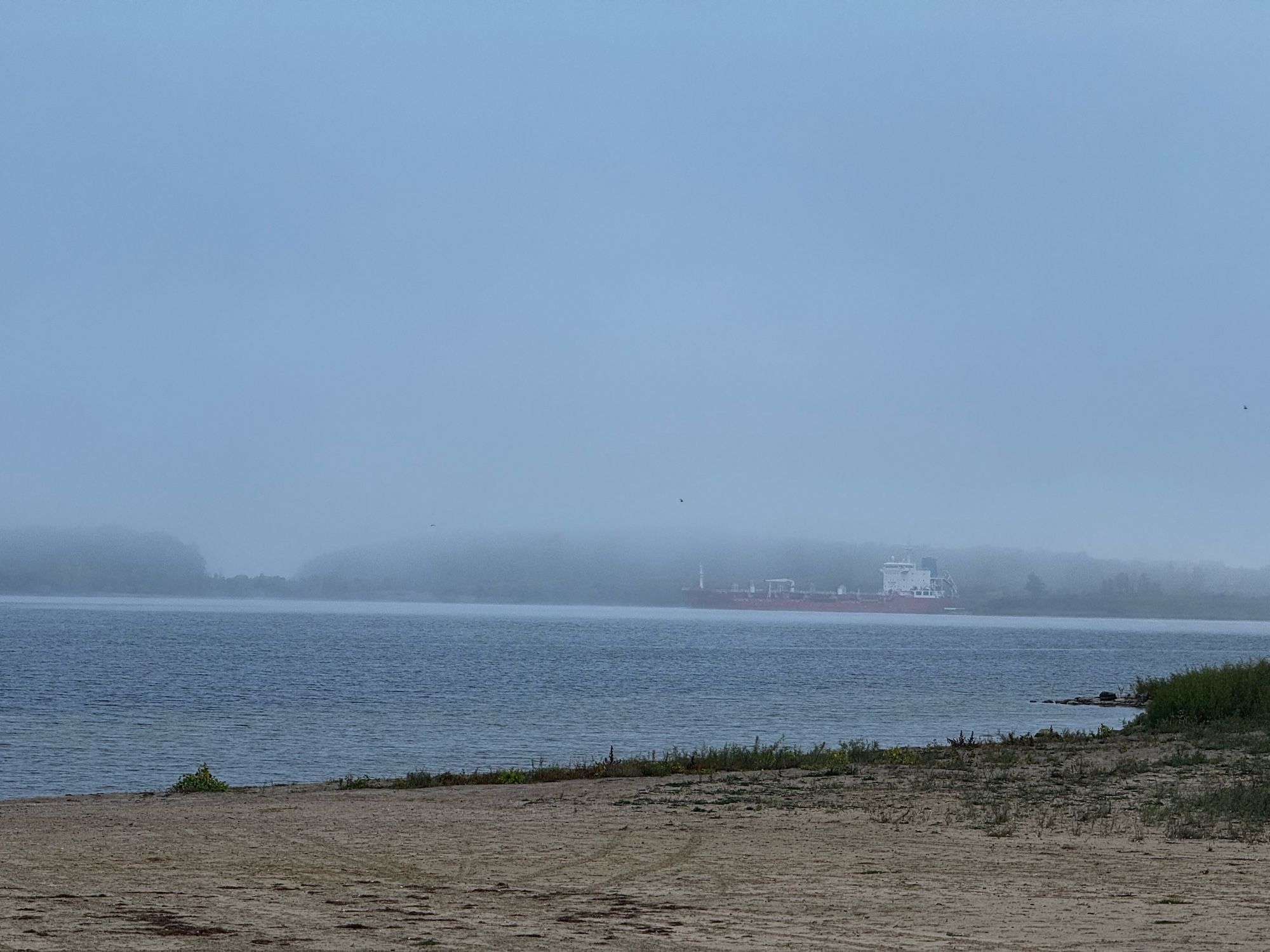 A red and white ship emerges from behind an island. A sandy beach in the foreground.