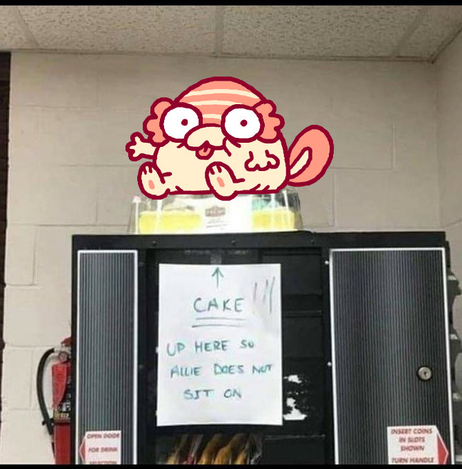 Edited photo with Allie's character Lotl sitting atop the plastic covering of a supermarket birthday cake, which in turn is sitting atop a vending machine. A sign taped to the machine says: "CAKE!!! Up here so Allie does not sit on."