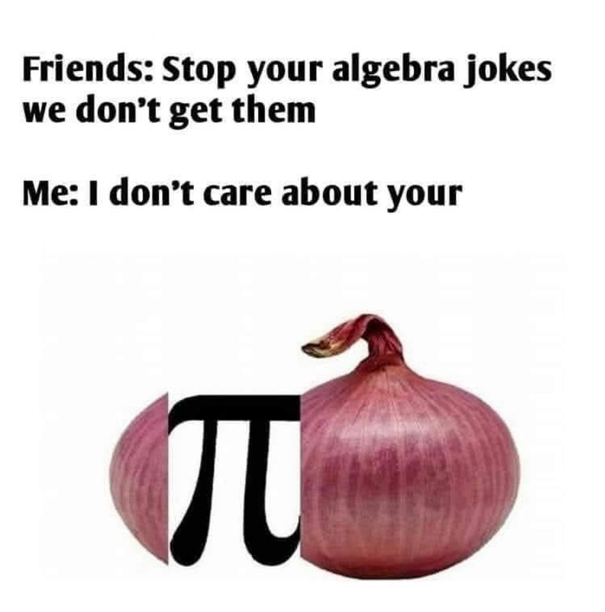 Friends: stop your algebra jokes. We don’t get them. Me : I don’t care about your (image of an onion with a small slice on the left side, the Pi symbol, and the rest of the onion)= visual for word opinion.