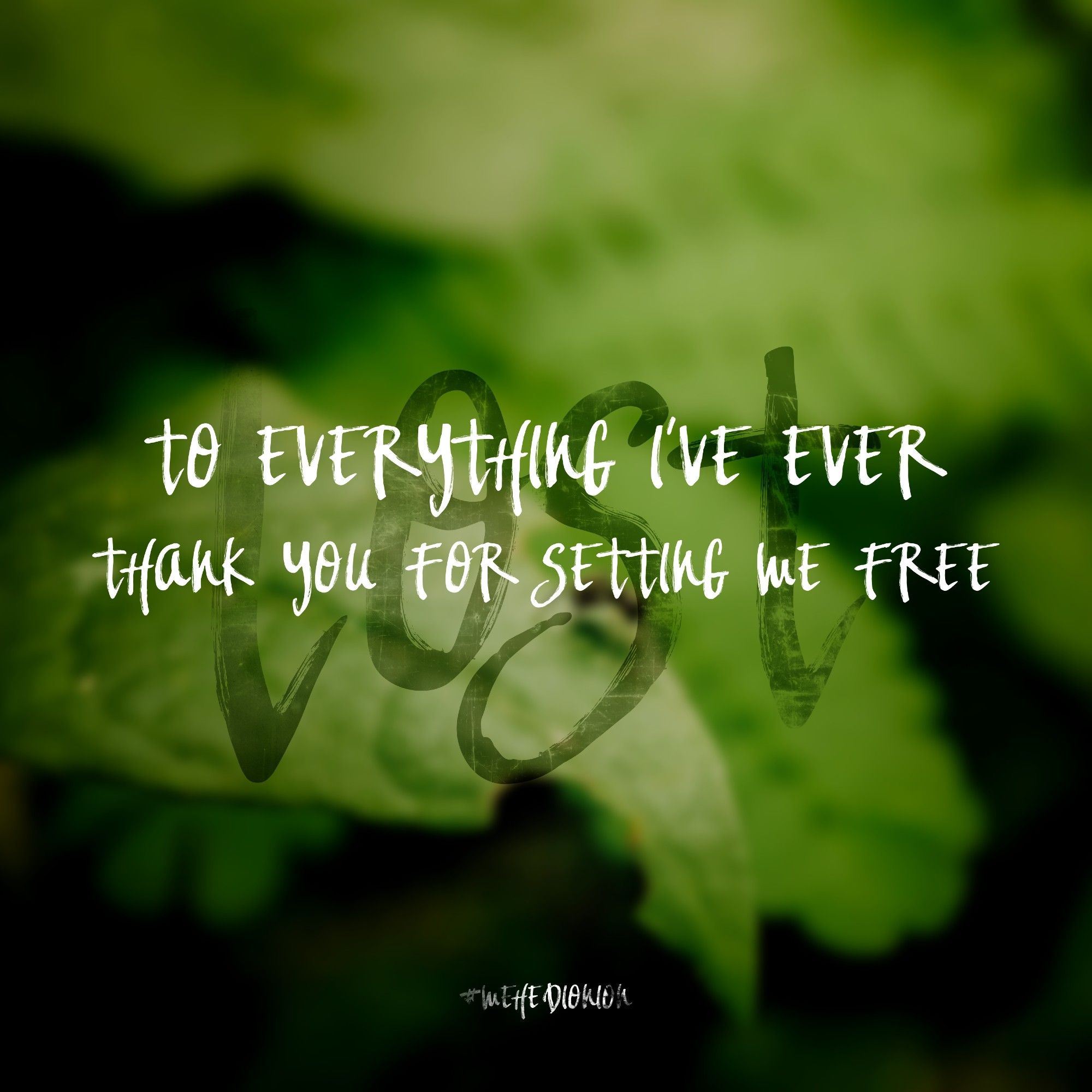 To everything I have ever lost, thank you for setting me free