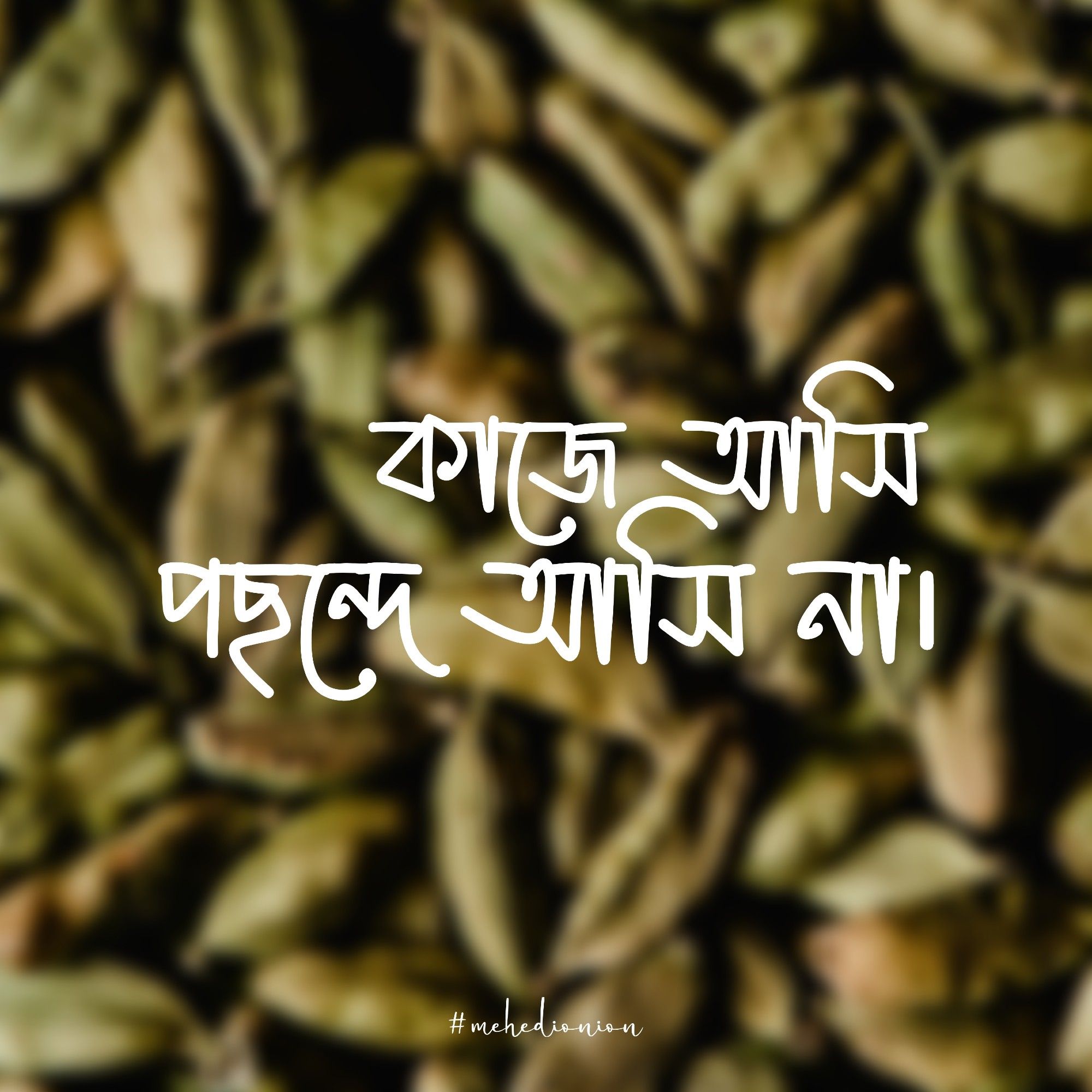 কাজে আসি পছন্দে আসি না-mehedionion