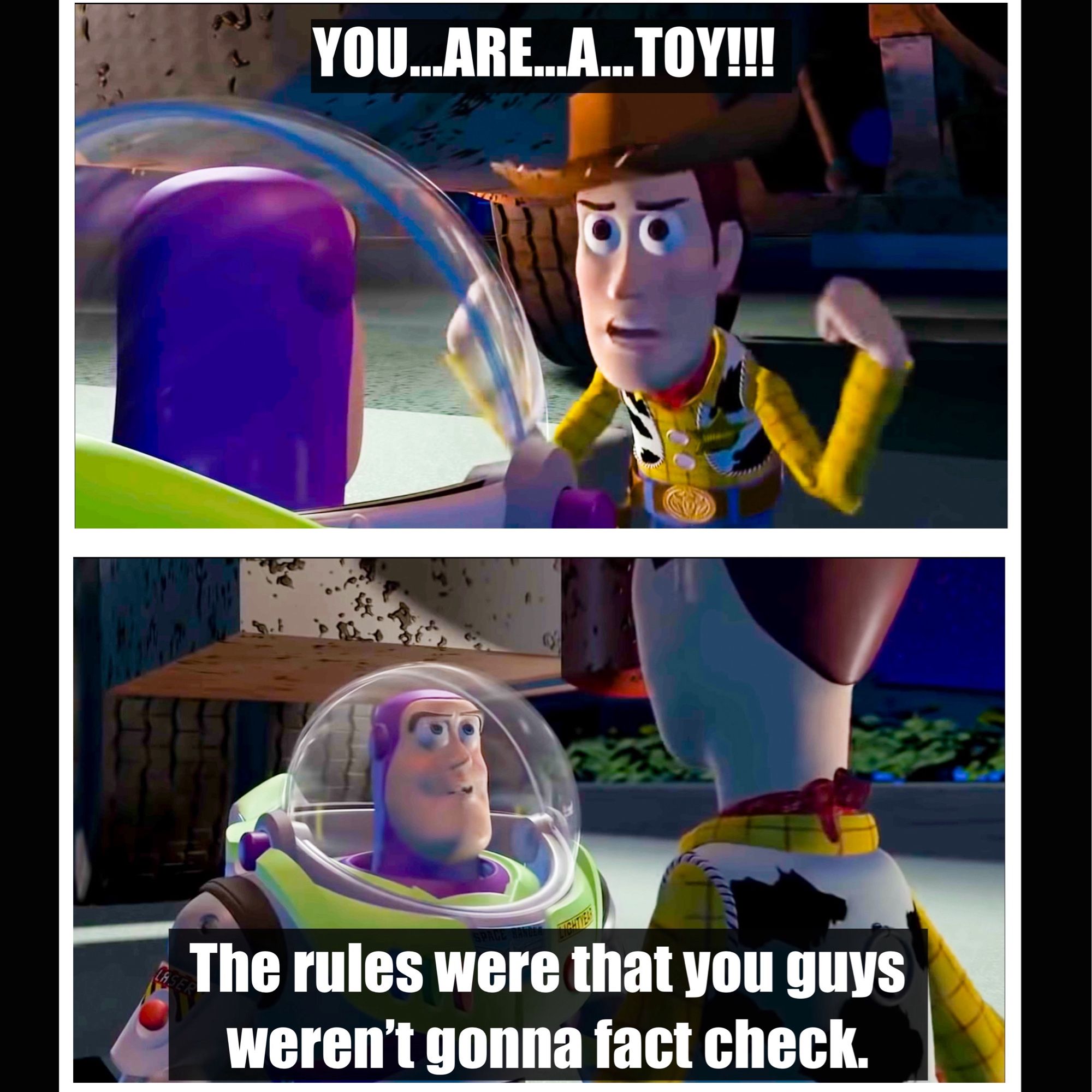 On top is a screen cap from the movie Toy Story showing the character Woody talking to Buzz Lightyear. Text reads, “You are a toy!” Underneath that, a screen cap of Buzz talking, with the text, “The rules were that you guys weren’t gonna fact check.”