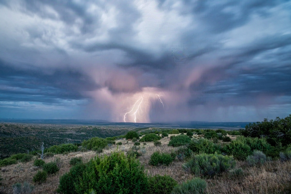 Lightning bolts strike the desert.

Twin bolts of lightning from storm clouds strike the desert. The clouds aren't as heavy or thick as you might expect, and are tinged with blues. In the center of the photograph the clouds turn more pink and the bolts come from the pink part. To the sides of the bolts the clouds are pulled down by rain.

The foreground is a mix of green desert bushes and dried grasses. The scene stretches off into the distance.