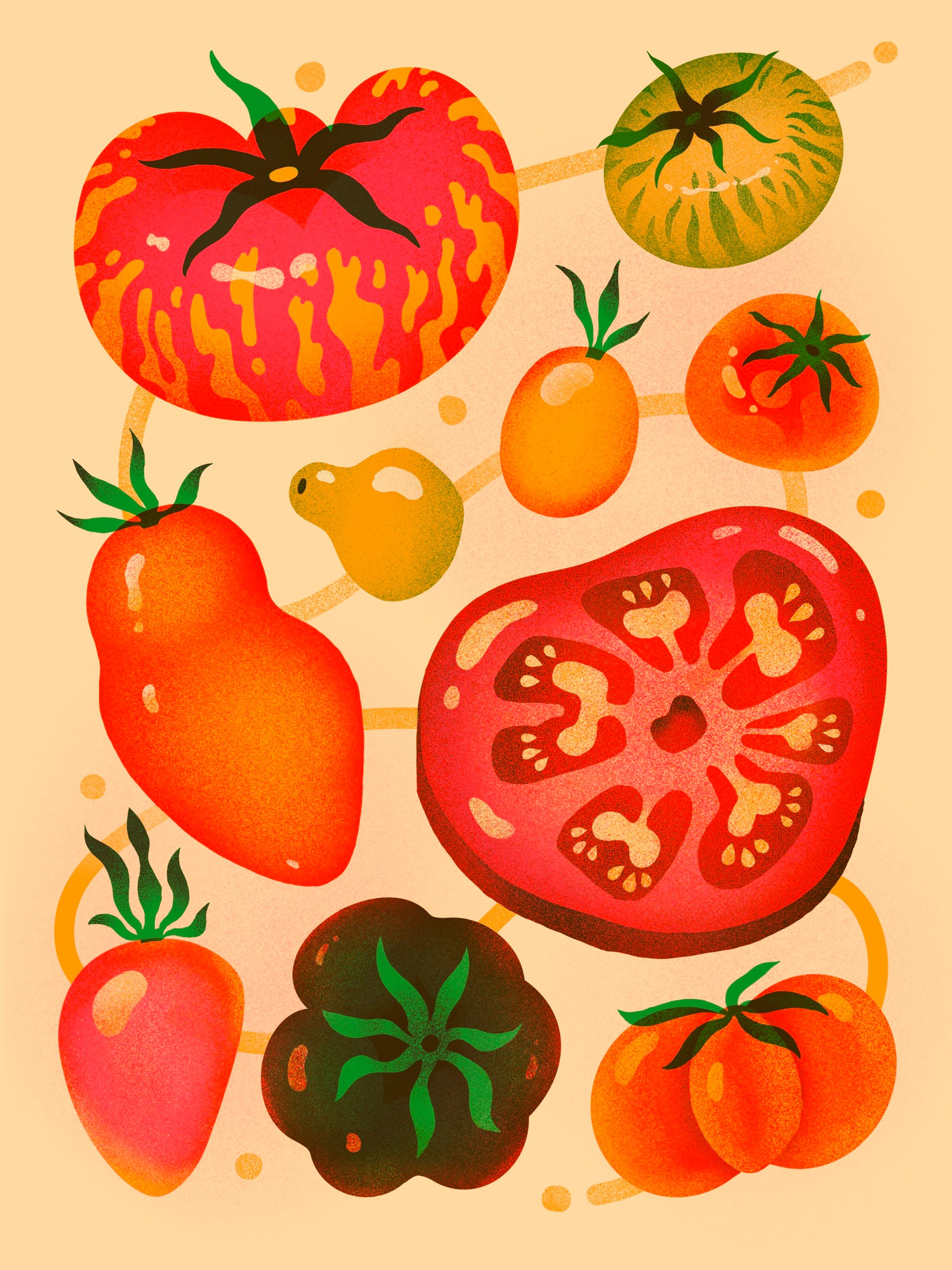 Illustration of a bunch of tomato varieties with a lil drizzle of olive oil to tie them together 