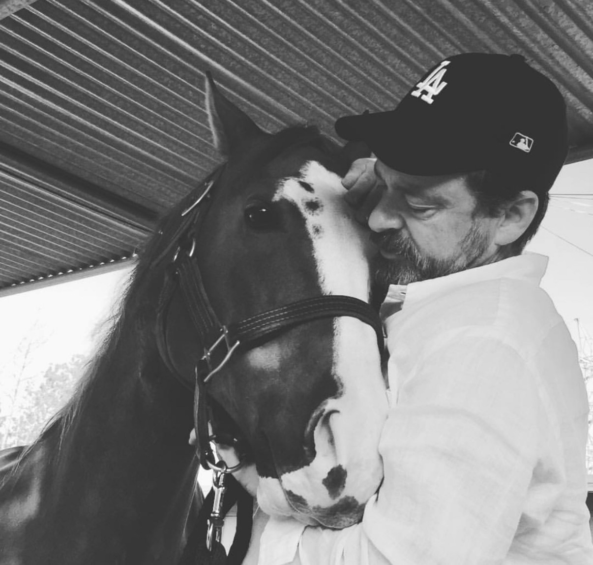 My horse, who’d nuzzle me like a dog. Killing them is heinous & inhumane. 