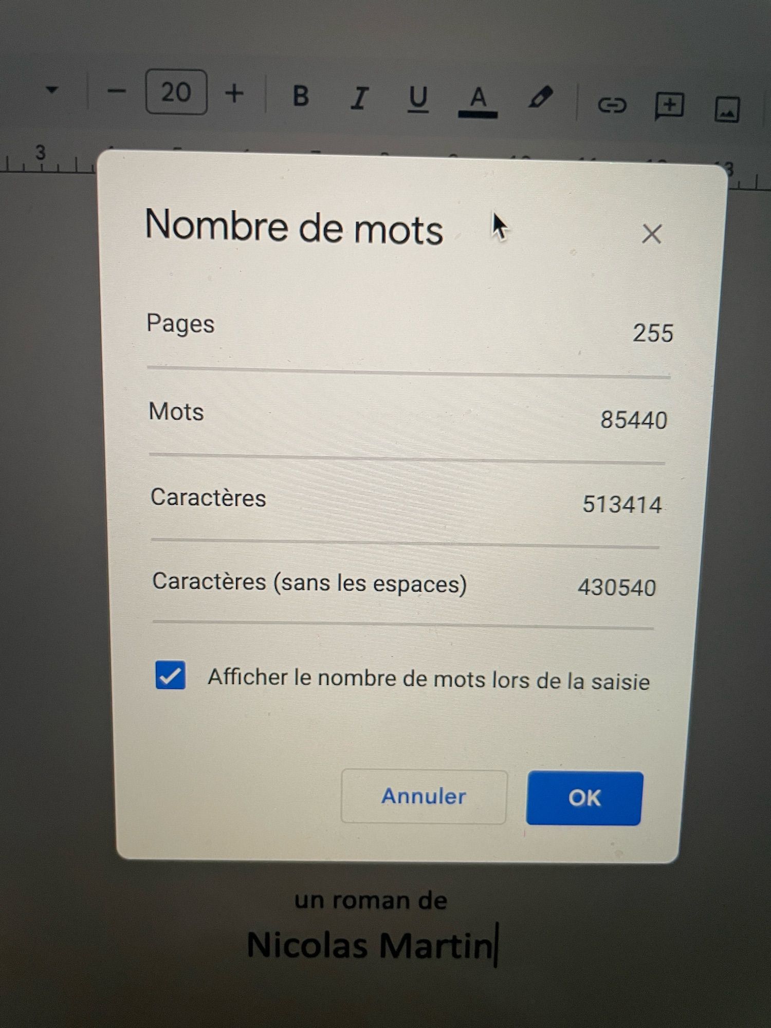 Photo du nombre de caractères (513414) devant l’inscription « un roman de Nicolas Martin »
