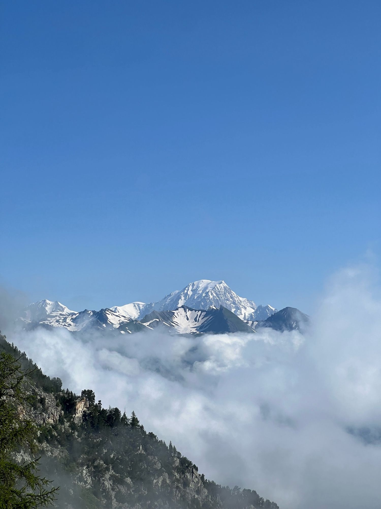 Vue sur le Mont Blanc, Les Arcs 1950