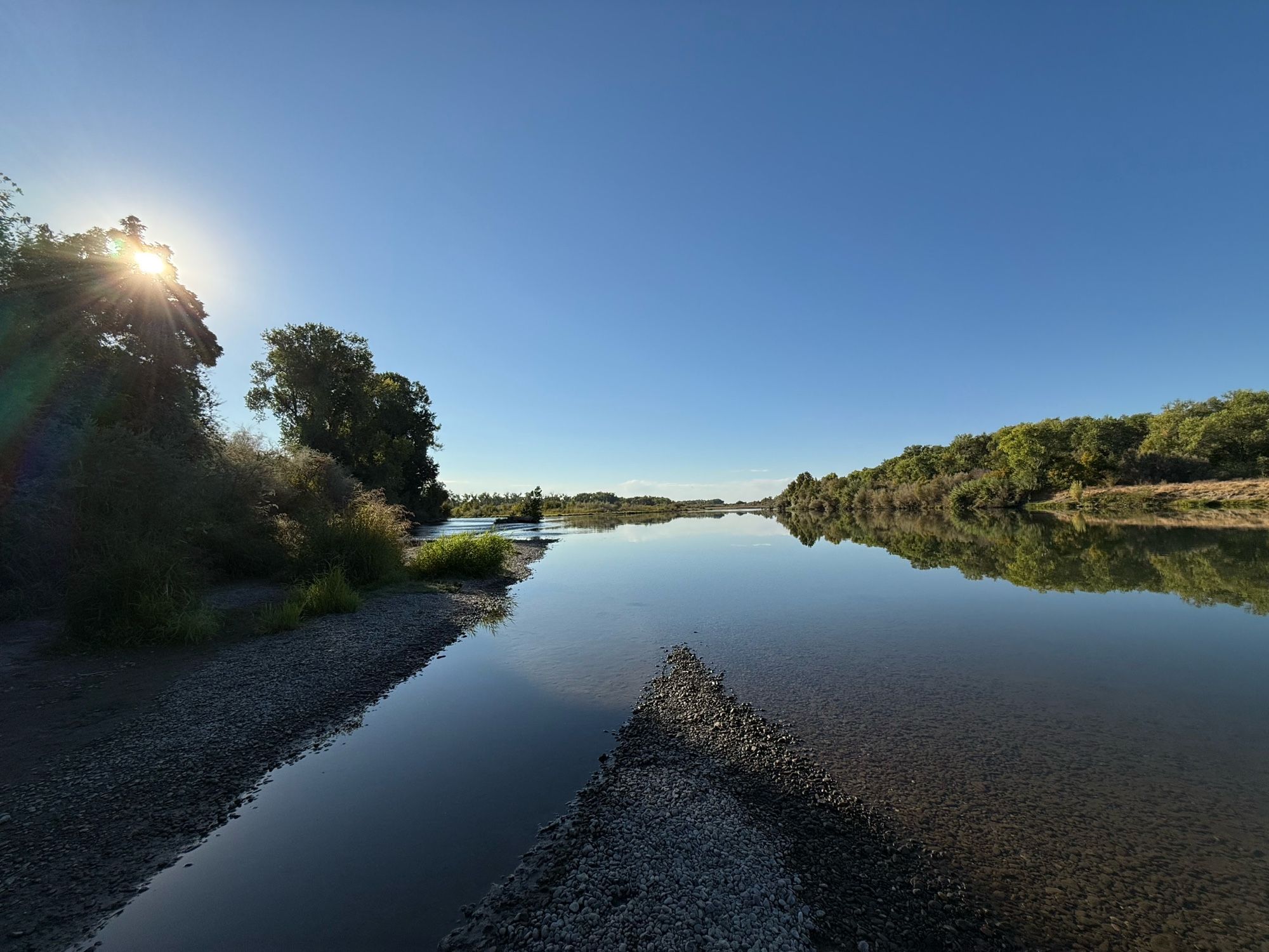 River with trees on left and right sides. Sun at left, just peaking through tree tops.