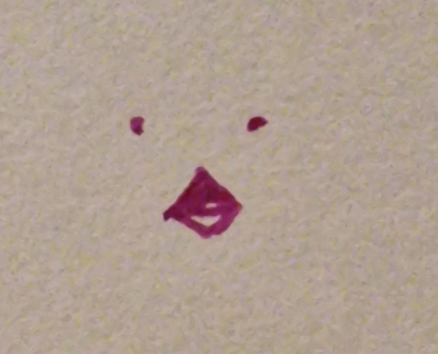 Two dots representing eyes, and two triangles representing a beak - the top one colored in. Badly drawn in pink ink