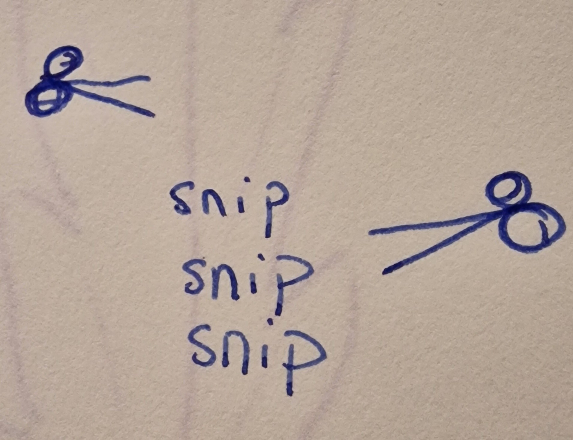 Really badly drawn scissors (maybe? They're so bad not even I am sure) in blue ink on either side of the word snip being repeated 3 times, each below the previous one.