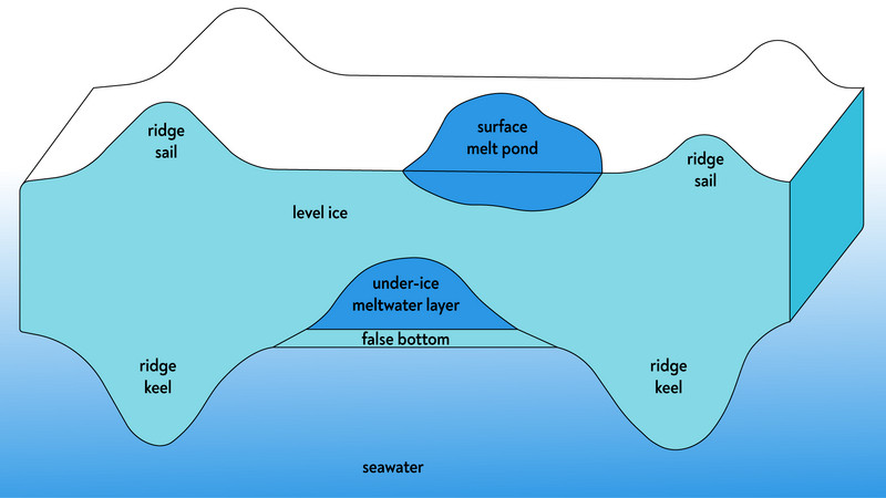 Scheme of false bottom formed under sea ice