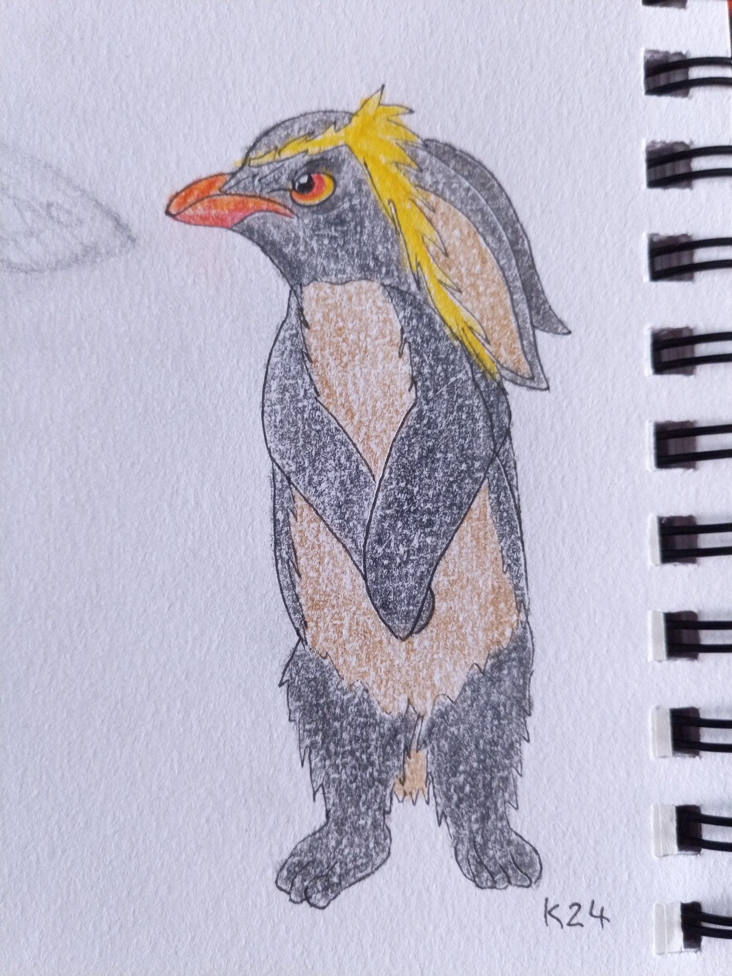 A drawing of a penguin & rabbit hydrid. It has a rockhopper penguin head with an extended & shaggier yellow stripe, rabbits ears and body with penguin flipper for its forelimbs. It has a disapproving air about it