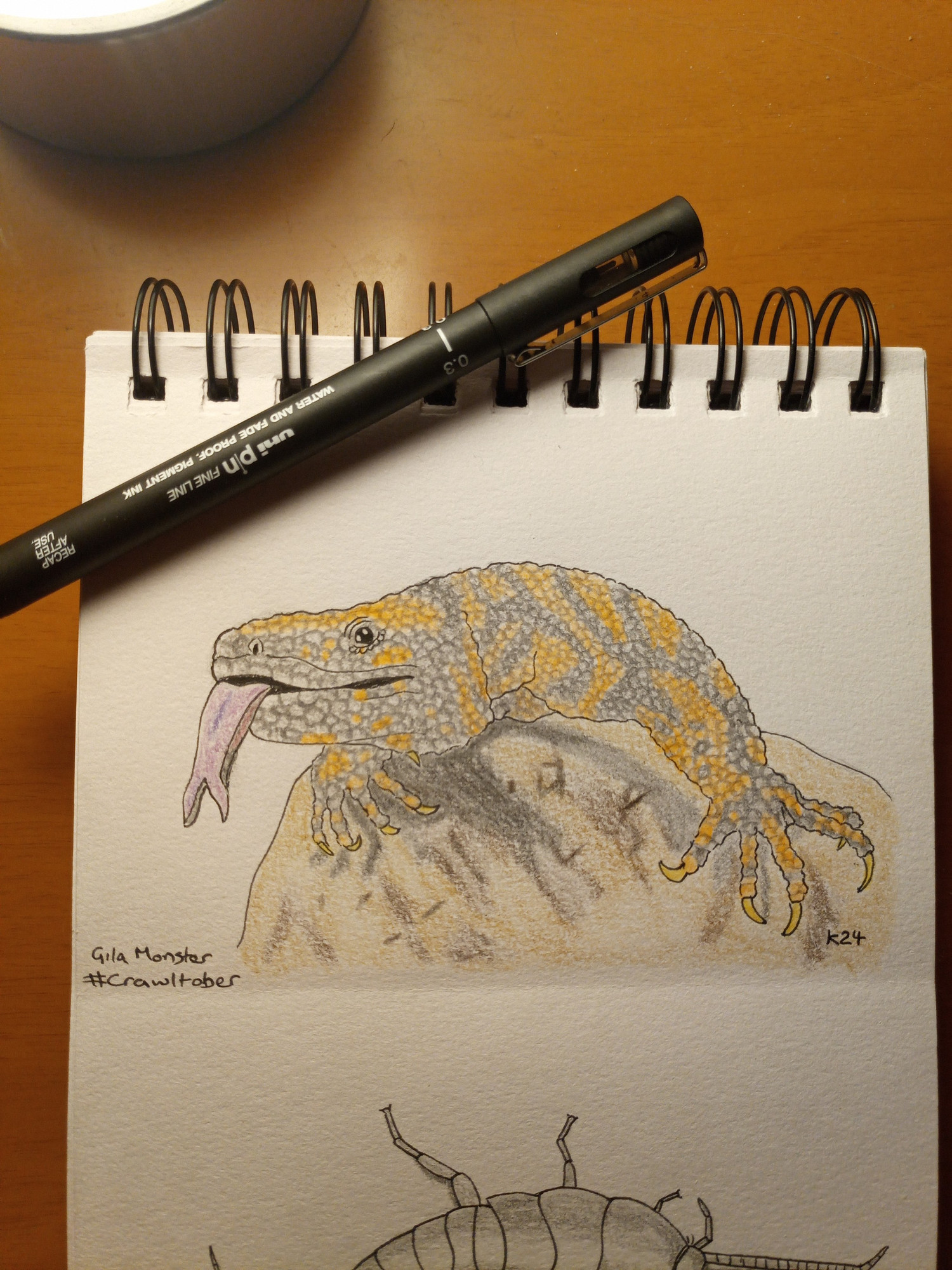 Photo of a drawing pad with a Gila monster crawling over a rock, you can see its head and forelimbs. Its tongue is sticking out