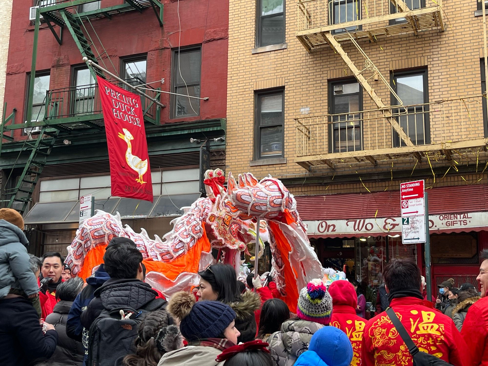 Lunar New Year Dragon Dance