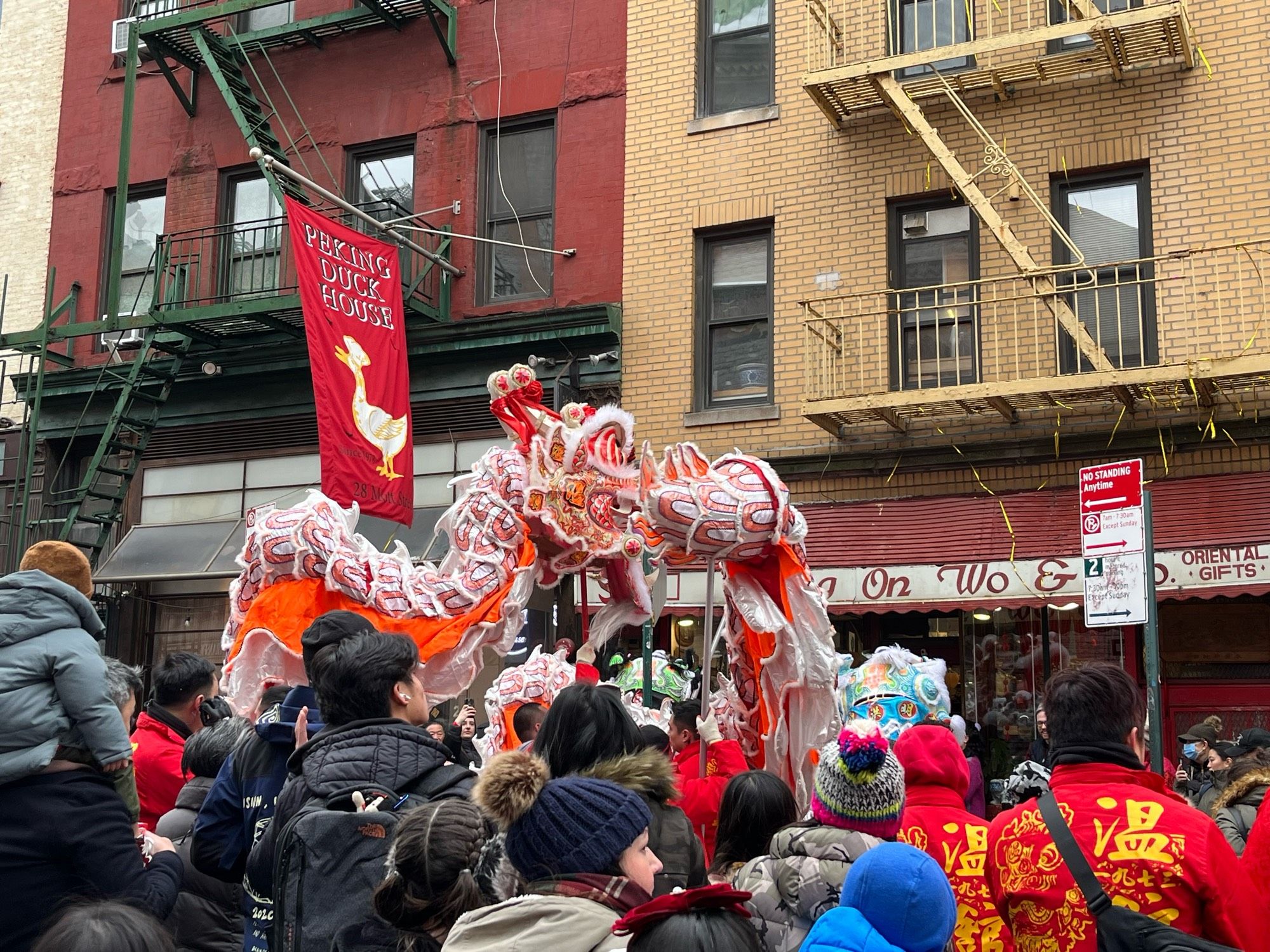 Lunar New Year Dragon Dance