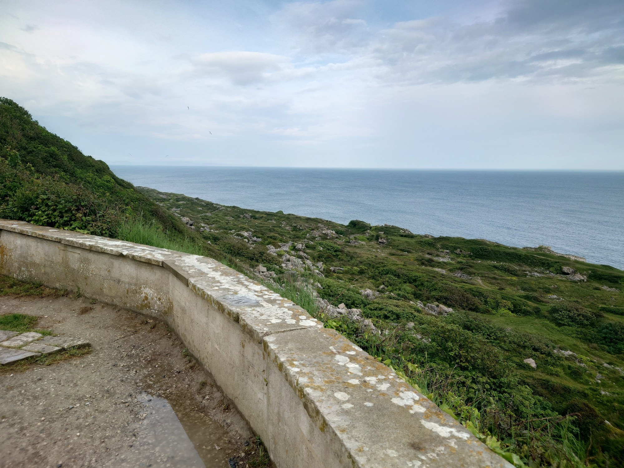 View out to sea with vegetation growing on the bare rock