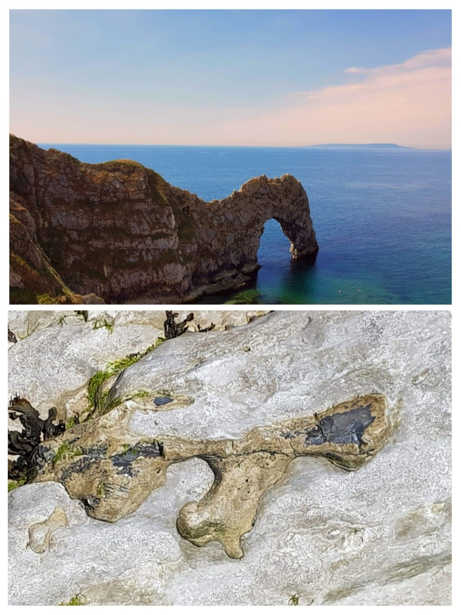 Oben: Durdle door 
natürliche Felsbrücke aus Kalkstein an der auch als Tourismusregion bekannten Jurassic Coast, einem von der UNESCO als Weltnaturerbe
 ausgezeichneten Abschnitt der Südenglischen Kreideküste

Unten
Ein wie ein Knochen aussehende Formation im Kalkstein